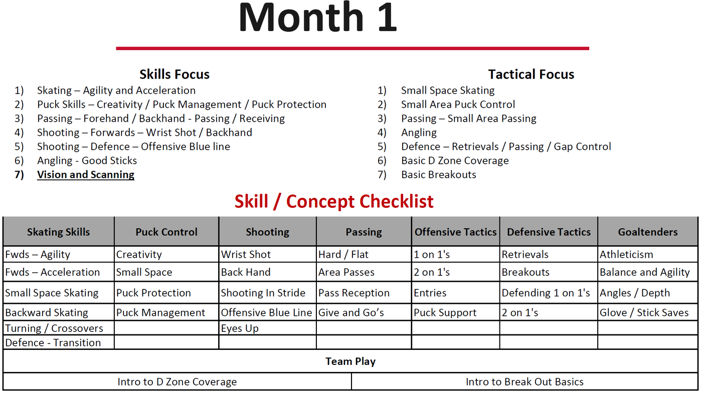 Month 1 roadmap: skills focus, tactical focus and skill and concept checklist