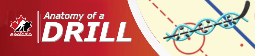Anatomy of a Drill